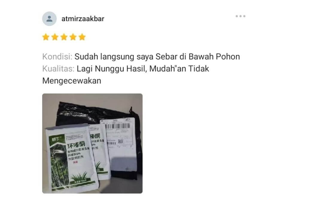Testimoni 2